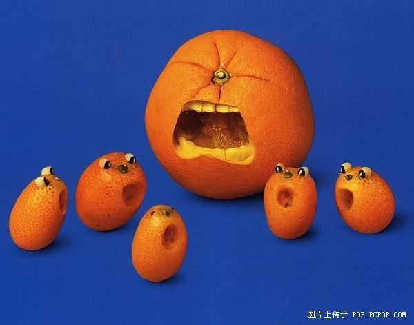 橘子小人
